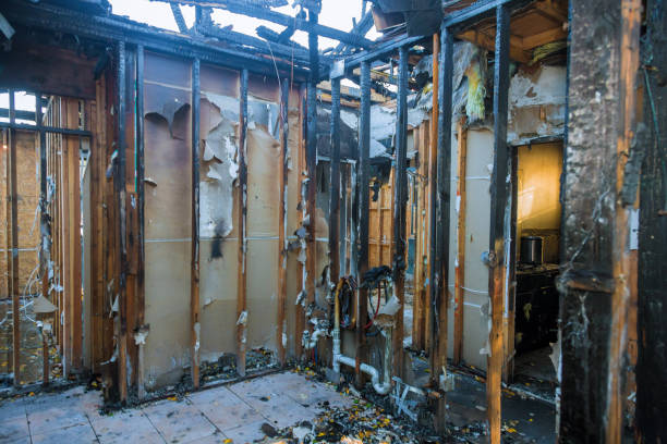 Professional Odor Removal technician working in Columbus, WI