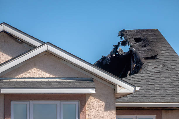 Top rated local Odor Removal specialists in Columbus, WI